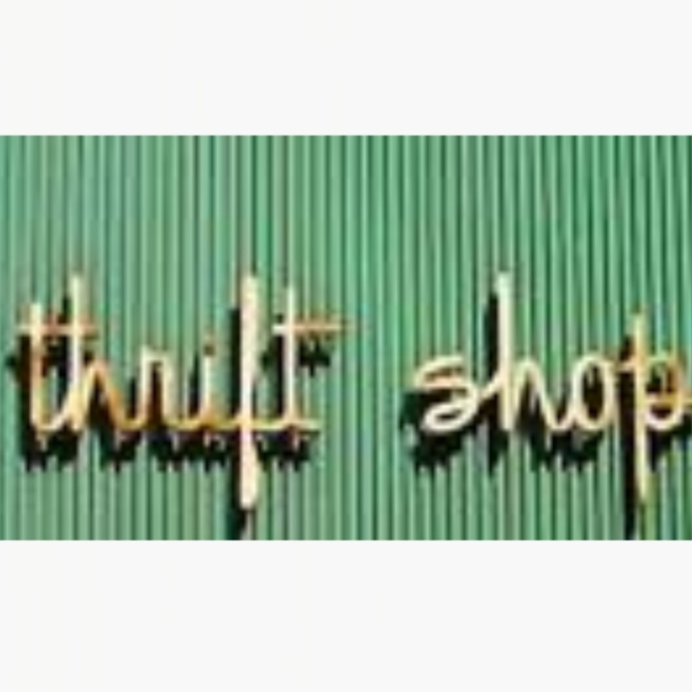 Goodfinds_thrift shop_407